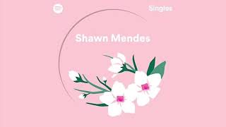 Shawn Mendes - Use Somebody (Spotify Singles)