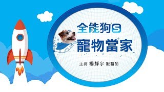 '18.12.03【全能狗S 寵物當家】犬類行為專家熊爸談「我家狗狗有分離焦慮症嗎？」