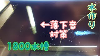 1800水槽　飼育水作り　落下音がやばい　混泳水槽への道　アロワナ飼育　紅龍　過背金龍　古代魚　arowana