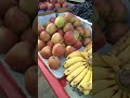 @Simplelifeofneena2689 #fruits #enjoy #simplevlogs