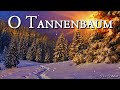 O Tannenbaum 🎄 [German Christmas Song][+Lyrics]