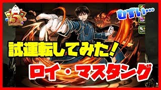 【パズドラ】ロイ・マスタングを試運転。スキルが強い！【実況】