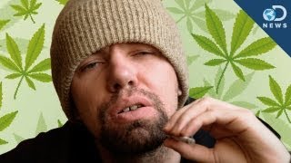Why Weed Makes You Lazy