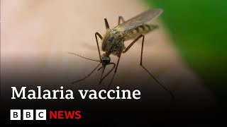 New malaria vaccine “could save millions of lives” - BBC News