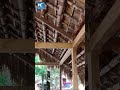 exploring boat shaped houses in china s hainan