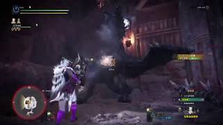 【MHW:IB】特殊闘技場：黒角竜マスター編 ディアブロス亜種 ライトボウガン 03分29秒