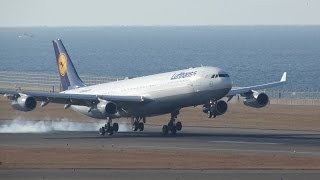 フランクフルトから到着 ルフトハンザドイツ航空 736便 A340-300 D-AIDF 中部国際空港