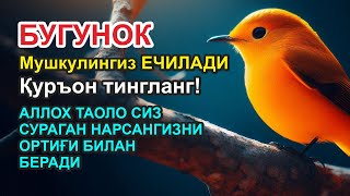 Ушбу дуони тинглаб Аллохдан ихлос билан сўранг СИЗ КУТМАГАН ЖОЙДАН БОЙЛИК ОҚИБ КЕЛАДИ ИН ШАА АЛЛОХ.