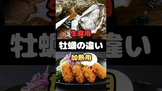 【ゆる解説】何が違う？牡蠣の生食用と加熱用 #雑学 #役に立つ雑学