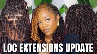 Loc Extensions Update: 9 Months In! New Color, Managing Thinning, & Shrinkage