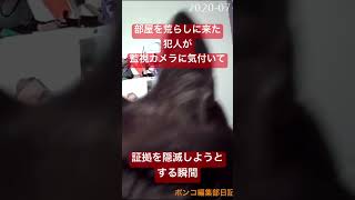 部屋を荒らす犯人を捕らえた時の監視カメラ証拠映像　#shorts