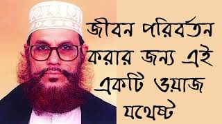 জীবন পরিবর্তন করার জন্য এই একটি ওয়াজেই যথেষ্ট | আল্লামা দেলোয়ার হোসাইন সাঈদীর