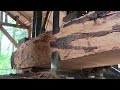 unexpected discovery of disastrous teak log at sawmill