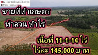 ขายที่เกษตร ที่ทำสวน ทำไร่ เขตย่านรีเนื้อที่ 11-1-14 ไร่