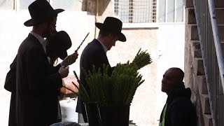 Ultra-Orthodox Jews inspect \