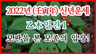 2022년 壬寅年 신년운세 을목(乙木)일간1 모판을 본 모종의 입장!(석우당 논상탐구)