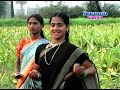 gogullo gogullo sri saila mallana animudyalu telugu songs