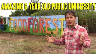 Amazing 6 Year Old Public University Permaculture Food Food Forest
