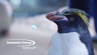 Consumers Energy and the Detroit Zoo Working Together for Michigan