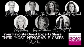 Your Favorite Divorce & Beyond Guest Experts Share Their Most Memorable Cases Part One
