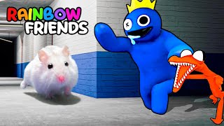 Hamster Adventures In Rainbow Friends Maze In Real Life [OBSTACLE COURSE]