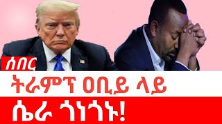 Ethiopia-| ትራምፕ ዐቢይ ላይ ሴራ ጎነጎኑ | Jawar Moha | Donald Trump | Abiy Ahmed | Amhara | Fano | Oromiya