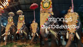 രാത്രി കാഴ്ച്ചകൾ |12 elephants |   Thuravoor Mahakshethram | Diwali Utsav 2022 #elephant #thuravoor