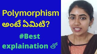 Polymorphism & Types of Polymorphism in Java