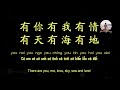 tình nhạt phai • lưu Đức hoa 刘德华 • 一起走过的日子【动态歌词 pinyinlyrics vietsub】