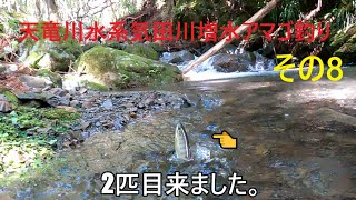 天竜川水系気田川増水アマゴ釣りその8