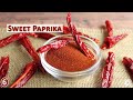 what is paprika 12 surprising facts about this common spice