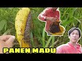 💛PANEN MADU DI DEKAT TEMPAT KERJA - TKI MALAYSIA VLOG