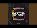 Electron Echoes