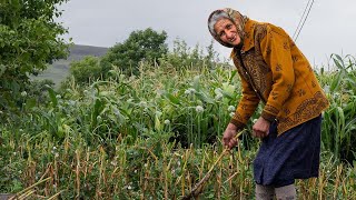 Daşkəsəni, Oranın insanlarını, adət-ənənələrini, meşənin dərinliyindəki köhnə kilsəni kəşf etdik