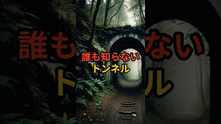 誰も知らないトンネル #山梨 #不思議な話 #都市伝説 #怪談 #VOICEVOX:麒ヶ島宗麟