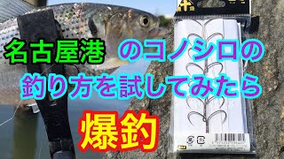 名古屋港のコノシロの釣り方を試してみたら爆釣だった