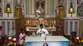 ༺♰༻ 🅛🅘🅥🅔 𝑽𝒂𝒅𝒂𝒗𝒂𝒊 𝑷𝒂𝒓𝒂𝒍𝒐𝒈𝒂 𝑴𝒂𝒕𝒉𝒂 - Daily Mass in Tamil - Jan 25 - திருப்பலி