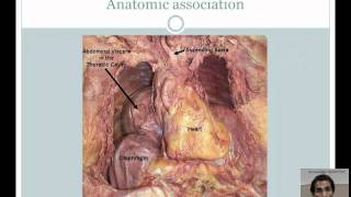 Association Between Hiatal Hernia, GERD, and Atrial Fibrillation by Dr Suraj Kapa  www jafib com