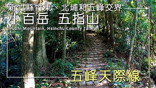 【小百岳#030】新竹縣五指山 五峰天際線 登山步道 灶君堂/玉皇宮 台灣Hiking in Wuzhi Mountain, Taiwan