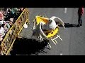 Traditional parade closes Colombian flower festival