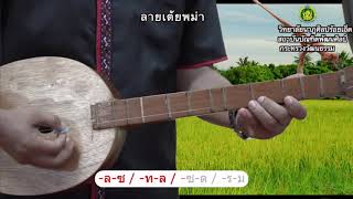 การดีดพิณลายเต้ยพม่า