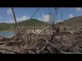 Maho Bay: One Month After Irma