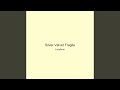 Silver Velvet Fragile