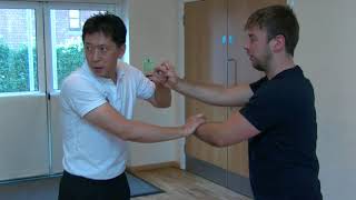 Wing Chun Wu Sau