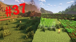 Ep.37 continuiamo a preparare il luogo per la casa e spostiamo le farm Minecraft ITA