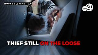 Mailbox Theft Spree In Mount Pleasant