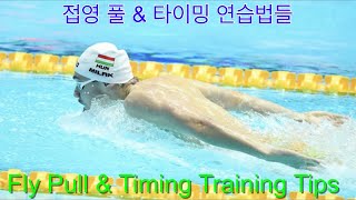 접영 풀 과 타이밍 연습법 ( Fly Pull & timing Training tips )