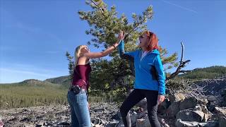 Big Obsidian Flow: A quick tour