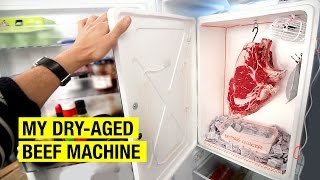 3. The Dry-Aged Beef Machine | How I Dry Age Beef At Home