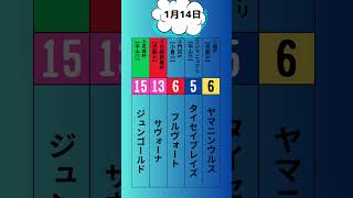 【毎週WIN5一点勝負#4】日経新春杯\u0026京成杯 #win5 #競馬 #一点勝負